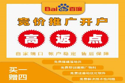 案例解读：SEM托管助力电商销售增长